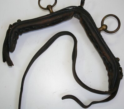 Brown leather strap with brass rings on top through which reins pass going to horses  mouth bit for controlling the horse