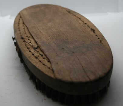 Brush used for grooming horses