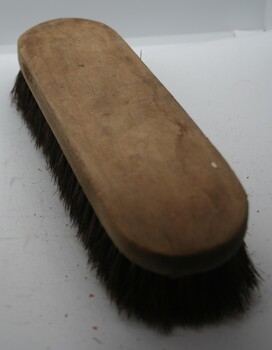 Brush used in the care of clothing