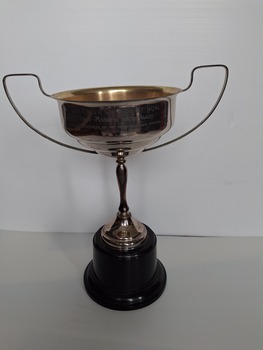 award for best family car