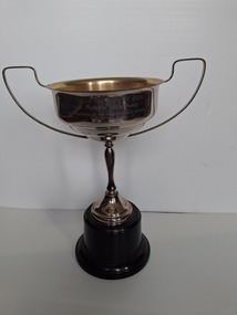 award for best family car