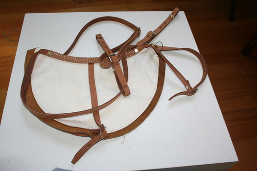 Canvas bag for carrying water