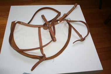 Canvas bag for carrying water