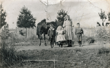 Photograph (sub-item) - Pupils opposite school on Dudley Road, 1912. From left, Les Read, Nell Read, Alice Knee, ‘Fat’ St. John