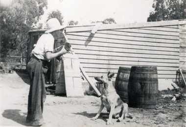 Photograph (sub-item) - Black and White, Ken Heims with an Alsation puppy which cost Five Pounds to register in the 1930’s