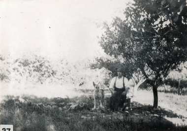Photograph (sub-item) - Black and White, ‘Grandpa’ on his orchard – 1930’s.  Mr. Van der Sluys on Heims’ property, 1930s