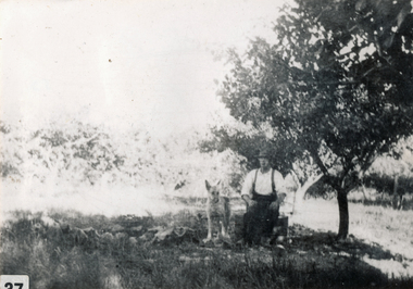 Photograph (sub-item) - Black and White, ‘Grandpa’ on his orchard – 1930’s.  Mr. Van der Sluys on Heims’ property