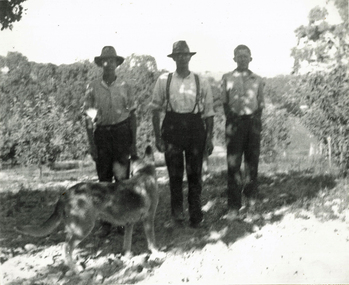 Photograph (sub-item) - Black and White, The Heims family, Walter, Ken and Harry on their property facing Lilydale about 1936, 1930s