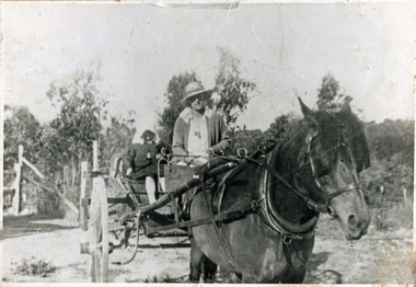 Photograph (sub-item) - Black and White, Mrs. Sharpe in her horse-drawn cart, 1919, at the corner of Jumping Creek and Hartley Roads