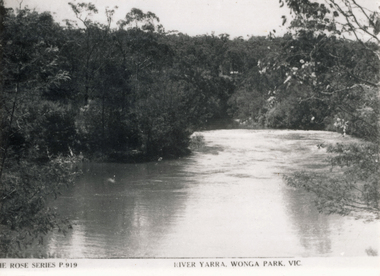 Photograph (sub-item) - Black and White, Viewing the camp from across the river at the 1948 Jamboree, Late 1940s