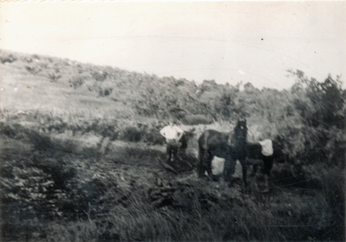 Photograph (sub-item) - Black and White, Cleaning out the dam on Heims’ property in 1930’s – view up hill towards Jumping Creek Road, 1930s