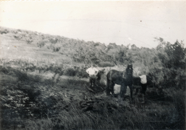 Photograph (sub-item) - Black and White, Cleaning out the dam on Heims’ property in 1930’s – view up hill towards Jumping Creek Road