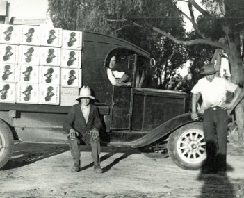 Photograph (sub-item) - Black and White, A Chevrolet truck loaded with export apples in about 1936, c 1936