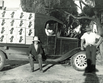 Photograph (sub-item) - Black and White, A Chevrolet truck loaded with export apples in about 1936