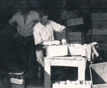 Photograph (sub-item) - Black and White, Heims family packing fruit before the Apple and Pear Board took control in 1939, c 1939