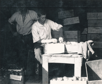 Photograph (sub-item) - Black and White, Heims family packing fruit before the Apple and Pear Board took control in 1939