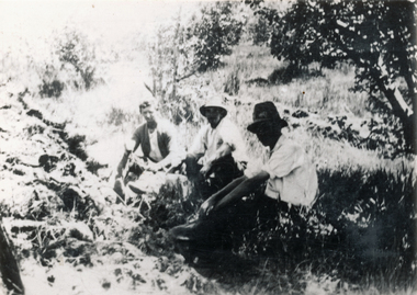 Photograph (sub-item) - Black and White, Ploughing the orchard – from left – Norm Whales, Wally Heims and Frank Stephenson on Heims’ orchard c. 1928-9, c 1928-29