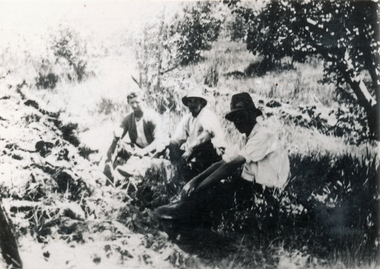 Photograph (sub-item) - Black and White, Ploughing the orchard – from left – Norm Whales, Wally Heims and Frank Stephenson on Heims’ orchard c. 1928-9
