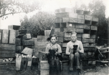 Photograph (sub-item) - Black and White, Sitting on fruit boxes with our puppies.  Ken Heims (right) and Jo Coniglio – c. 1935, c 1935