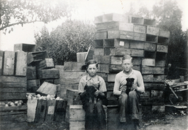 Photograph (sub-item) - Black and White, Sitting on fruit boxes with our puppies.  Ken Heims (right) and Jo Coniglio – c. 1935