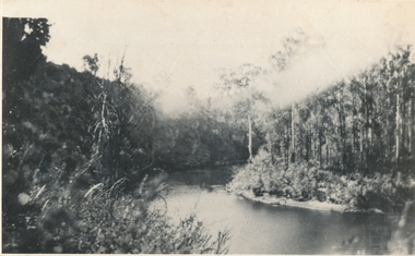 Photograph (sub-item) - Black and White, ‘Horseshoe Bend’ on the Yarra River at Wonga Park, in 1929, 1929