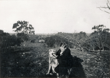 Photograph (sub-item) - Black and White, A view towards Lilydale from Wonga Park in about 1933.  Young Harry Heims with his dog.  Mr. Stephenson’s home is in the background, c1933