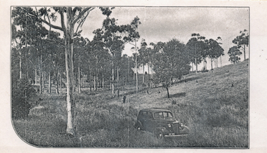 Photograph (sub-item) - Black and White, Valley on ‘Yarra Brae’, 1940, c1940