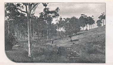 Photograph (sub-item) - Black and White, Valley on ‘Yarra Brae’, 1940