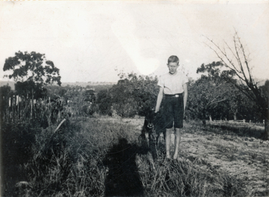 Photograph (sub-item) - Black and White, Mr. Ken Heims with a baby calf in early 1930’s