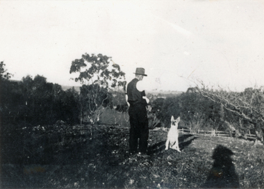 Photograph (sub-item) - Black and White, ‘Training the family pet’ – looking towards Lilydale from Brushy Creek Road in 1930’s. Heims, 1930s