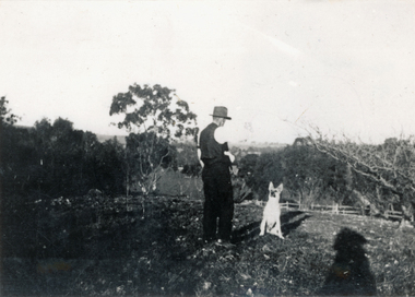 Photograph (sub-item) - Black and White, ‘Training the family pet’ – looking towards Lilydale from Brushy Creek Road in 1930’s. Heims