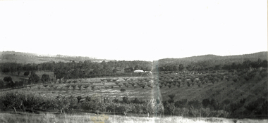 Photograph (sub-item) - Black and White, Looking over the Heims’ property towards Mt. Dandenong from Jumping Creek Road in the mid 1930’s, mid 1930s