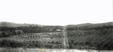 Photograph (sub-item) - Black and White, Looking over the Heims’ property towards Mt. Dandenong from Jumping Creek Road in the mid 1930’s