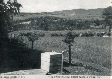 Photograph (sub-item) - Black and White, The Dandenongs from Wonga Park