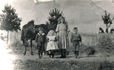 Photograph - Black and White, Pupils opposite school on Dudley Road in 1912, from left, Les Read, Nell Read, Alice Knee, Charlie (“fat”) St John