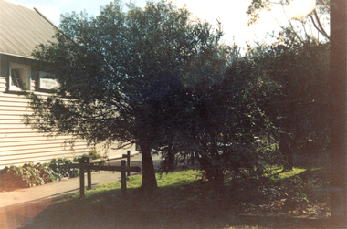 Photograph - Colour, Front of school 1988