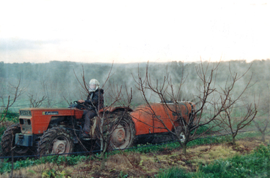 Photograph - Colour, Fruit spraying on Colella’s 0rchard, 1988