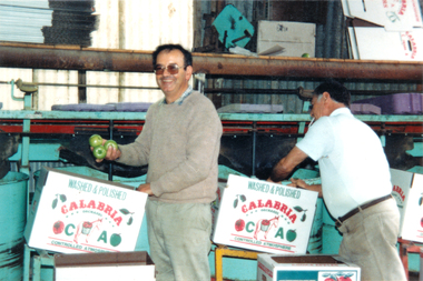 Photograph - Colour, The Colella family packing apples in 1988