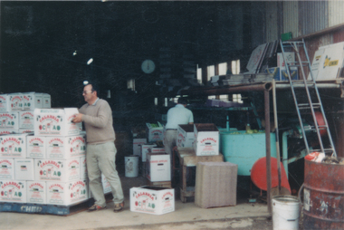 Photograph - Colour, The Colella family packing apples in 1988