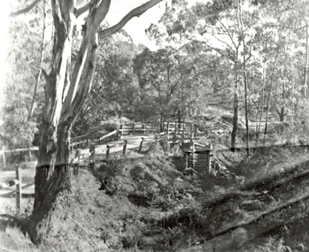 Photograph (Item) - Black and White, Wonga Park: Old Jumping Creek Bridge, c. 1931