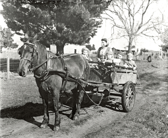 Photograph (Item) - Black and White, Wonga Park: Vergers Family in 2 wheel horse cart, c. 1931