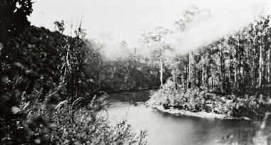 Photograph (Item) - Black and White, Wonga Park: A view of the Yarra River