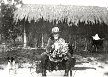Photograph (Item) - Black and White, Wonga Park: Mrs Sharp in front of shade house (later tea house) with baby Elizabeth in pram c.1913