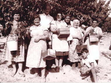 Photograph (Item) - Black and White, Wonga Park: Colella Family picking cherries 1960s. On the left Lena Colella and her mother