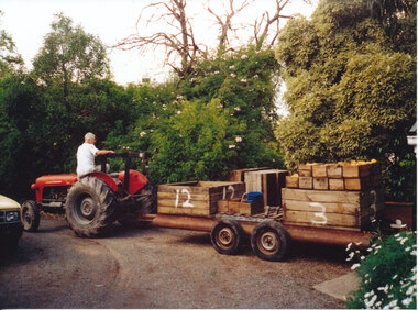 Photograph (Item) - Colour, Wonga Park: Backing into the packing shed - Ian Barr