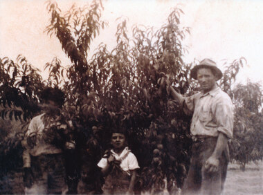 Photograph (Item) - Black and White, Wonga Park: Patsy Colella, Gatters Road, 1940s with Lena and Tony