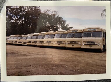 Photograph - Colour Photo of, Row of Invicta buses