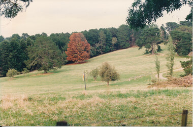 Photograph - Colour photo, of Twin Hills Landscape 1