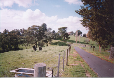 Photograph - Colour photo, of Twin Hills Landscape 2