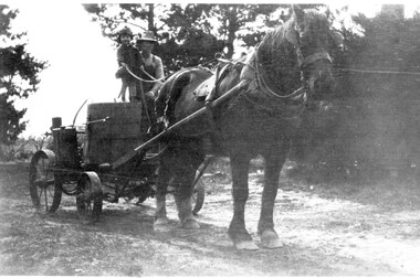 Photograph - Herb and Ken Beavis, on horse drawn spray pump